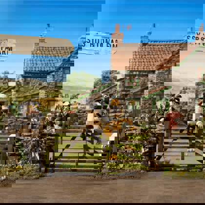 SHAUN MOSSYBOTTOM ONE FARM Web (1)